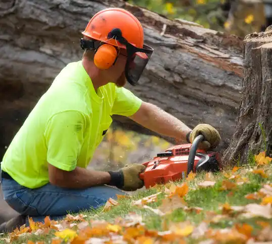 tree services Oak Grove Village